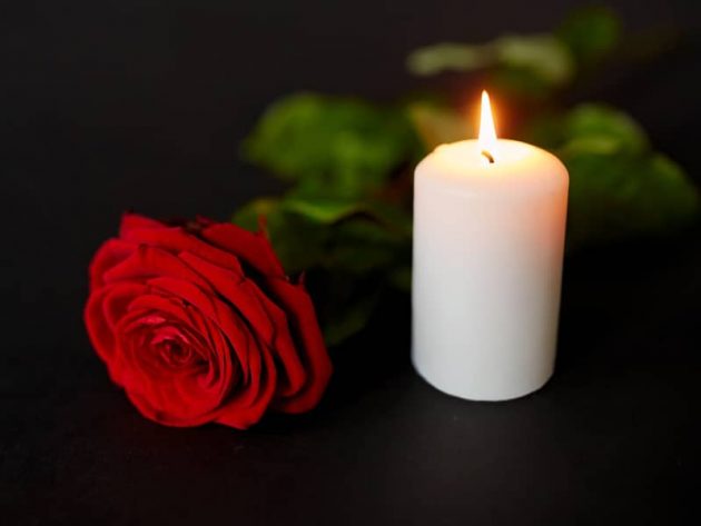 Branimir-Kralj-v-slovo